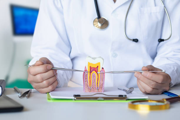 Best Knocked-Out Tooth (Avulsed Tooth) Treatment in Foscoe, NC